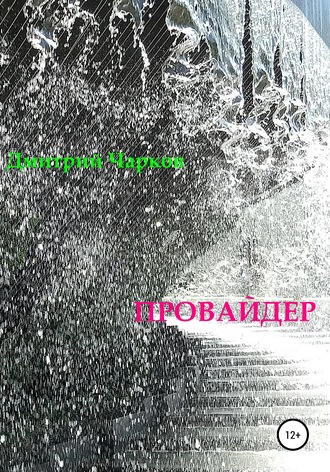 Обложка книги «Провайдер»