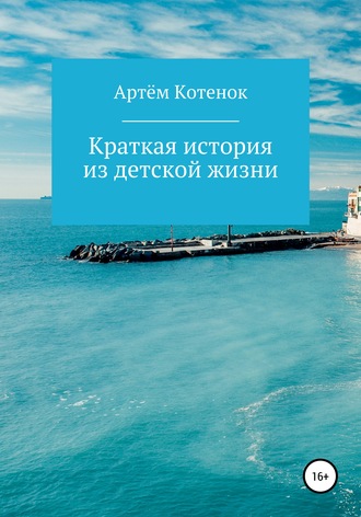Обложка книги «Краткая история из детской жизни»