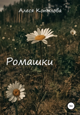 Обложка книги «Ромашки»