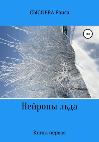 Обложка книги «Нейроны льда»
