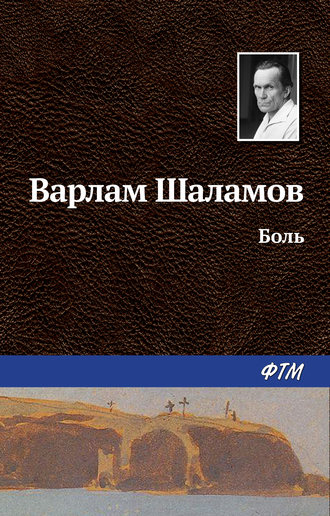 Варлам Шаламов. Боль