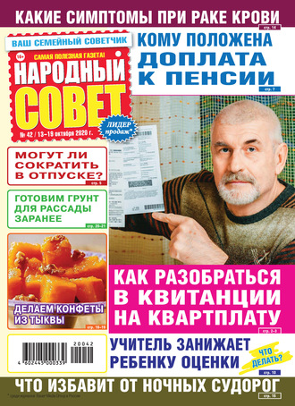 Обложка книги «Народный совет №42/2020»
