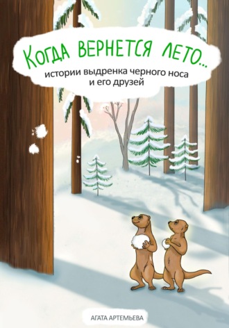 Обложка книги «Когда вернется лето…»