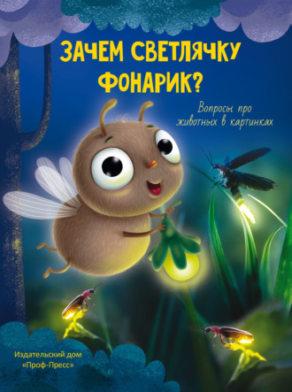 Василий Аверкиев. Зачем светлячку фонарик