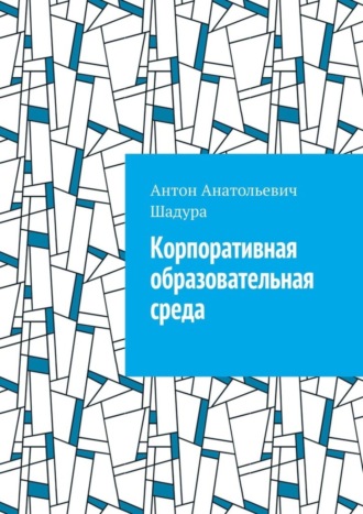 Антон Анатольевич Шадура. Корпоративная образовательная среда