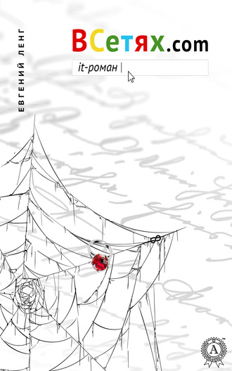 Обложка книги «ВСетях.com. it-роман»