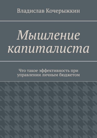 Владислав Кочерыжкин. Мышление капиталиста. Что такое эффективность при управлении личным бюджетом