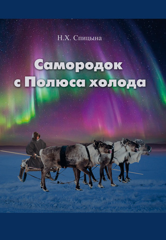 Обложка книги «Самородок с Полюса Холода»