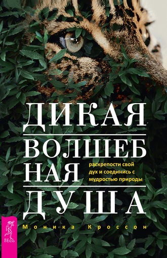 Моника Кроссон. Дикая Волшебная Душа: раскрепости свой дух и соединись с мудростью природы