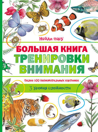Обложка книги «Большая книга тренировки внимания»