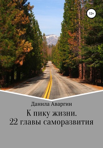 Обложка книги «К пику жизни. 22 главы саморазвития»