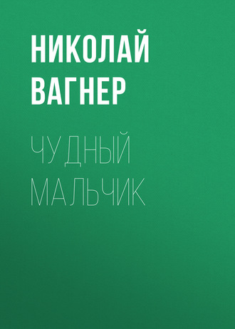 Обложка книги «Чудный мальчик»