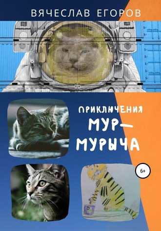 Обложка книги «Приключения Мур-Мурыча»
