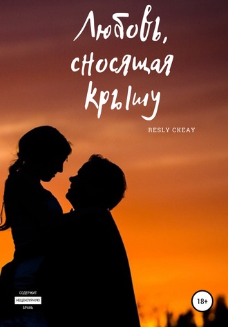 Обложка книги «Любовь, сносящая крышу»