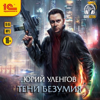 Обложка книги «Тени безумия»