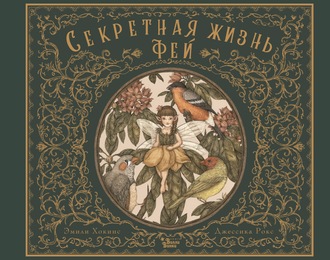 Обложка книги «Секретная жизнь фей»