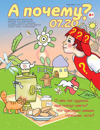 Обложка книги «А почему? №07/2020»