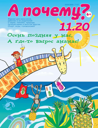 Обложка книги «А почему? №11/2020»