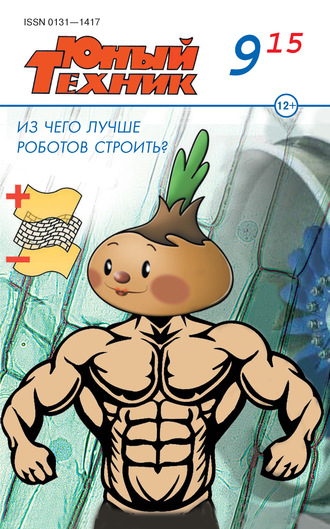 Обложка книги «Юный техник №09/2015»
