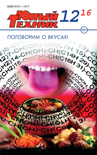 Обложка книги «Юный техник №12/2016»