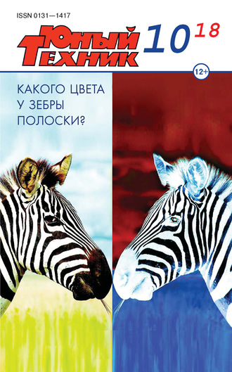 Обложка книги «Юный техник №10/2018»