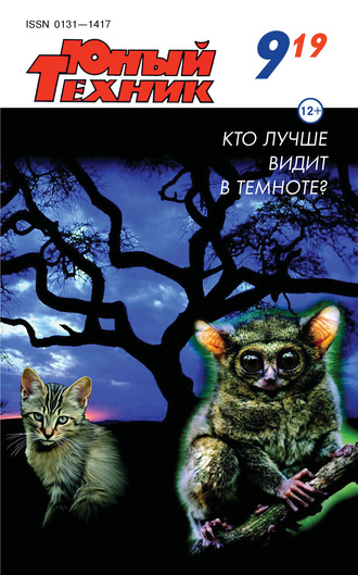Обложка книги «Юный техник №09/2019»