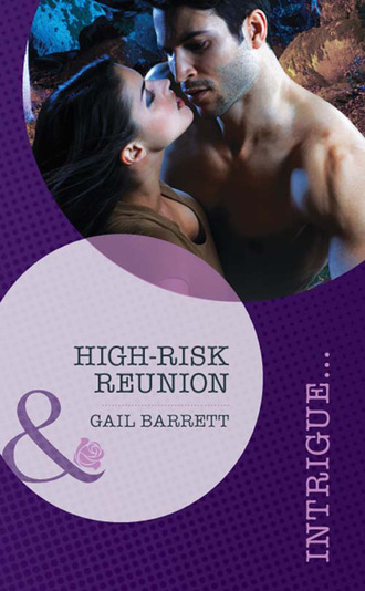 Gail Barrett. High-Risk Reunion