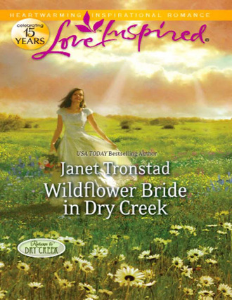 Janet Tronstad. Wildflower Bride in Dry Creek