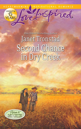 Janet Tronstad. Second Chance in Dry Creek