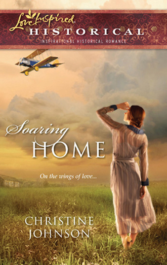 Christine  Johnson. Soaring Home