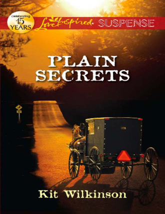 Kit Wilkinson. Plain Secrets