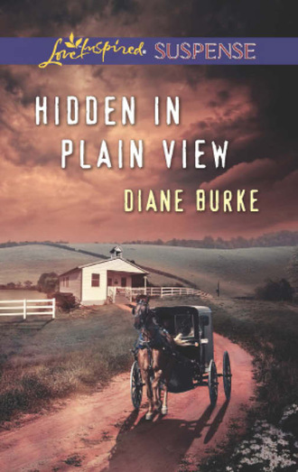 Diane Burke. Hidden in Plain View