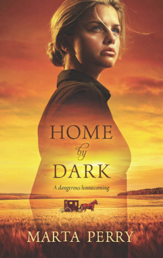 Marta  Perry. Home by Dark