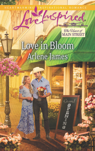 Arlene James. The Heart of Main Street