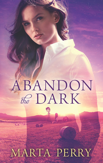 Marta  Perry. Abandon the Dark