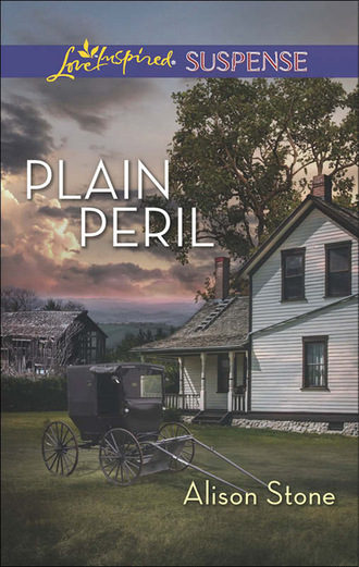 Alison  Stone. Plain Peril