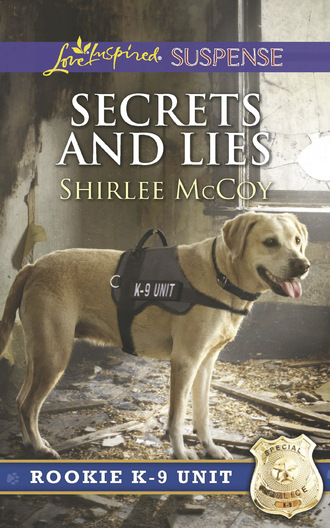 Shirlee McCoy. Secrets And Lies