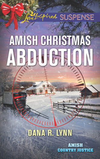 Dana R. Lynn. Amish Christmas Abduction