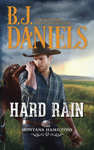 B.J. Daniels. The Montana Hamiltons