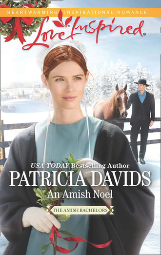 Patricia Davids. An Amish Noel