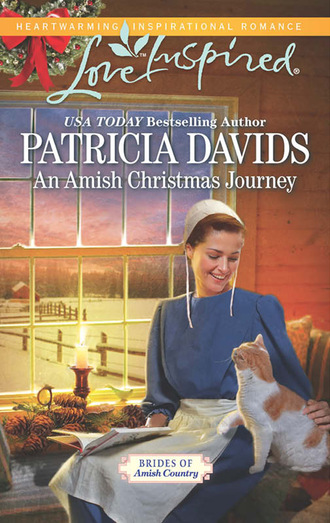 Patricia Davids. An Amish Christmas Journey