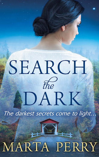 Marta  Perry. Search the Dark