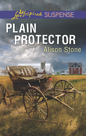 Alison  Stone. Plain Protector