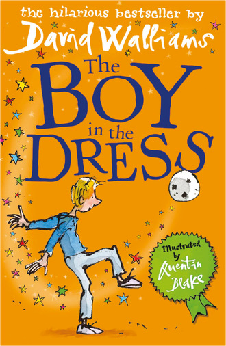 David Walliams. The Boy in the Dress