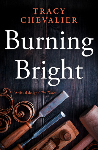 Tracy  Chevalier. Burning Bright