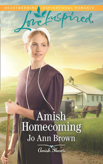 Jo Ann Brown. Amish Homecoming