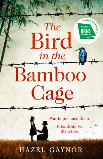 Hazel Gaynor. The Bird in the Bamboo Cage