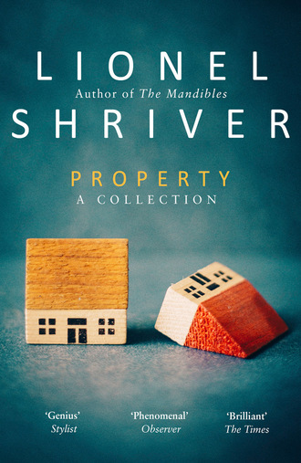 Lionel Shriver. Property