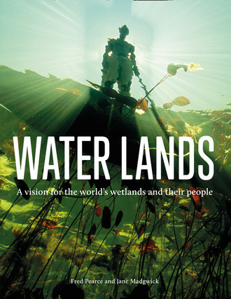 Fred Pearce. Water Lands