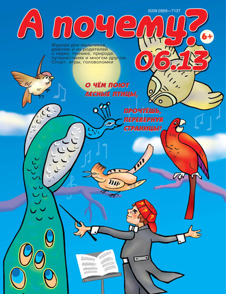 Обложка книги «А почему? №06/2013»